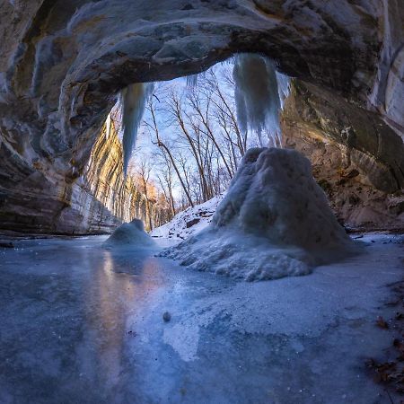 Starved Rock & Ottawa Retreat Amazing Getaway Home Zewnętrze zdjęcie